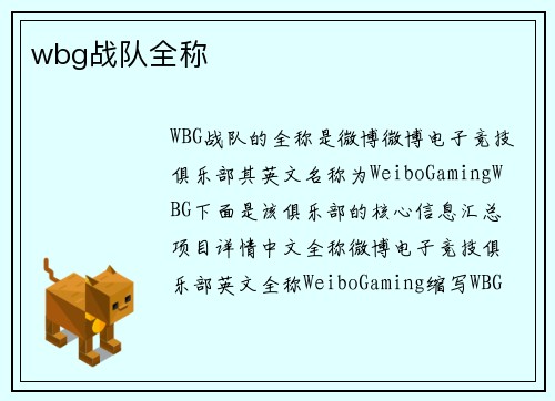 wbg战队全称